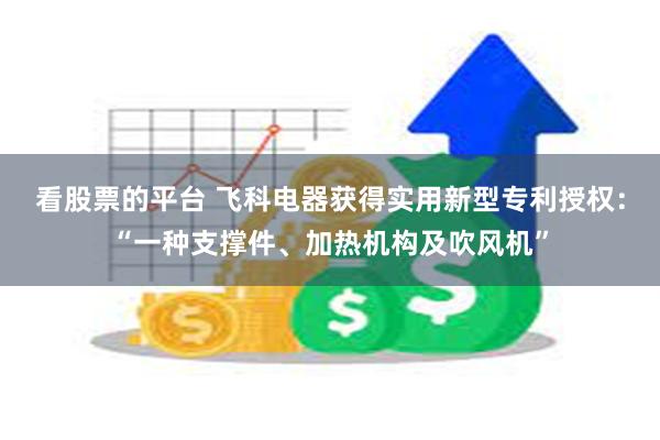 看股票的平台 飞科电器获得实用新型专利授权：“一种支撑件、加热机构及吹风机”