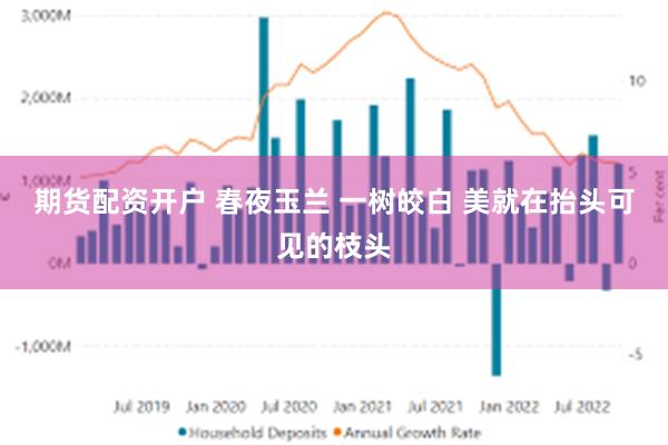 期货配资开户 春夜玉兰 一树皎白 美就在抬头可见的枝头