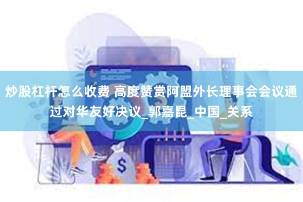 炒股杠杆怎么收费 高度赞赏阿盟外长理事会会议通过对华友好决议_郭嘉昆_中国_关系