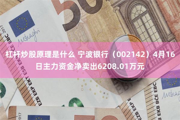 杠杆炒股原理是什么 宁波银行（002142）4月16日主力资金净卖出6208.01万元