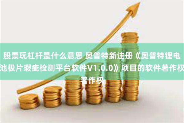 股票玩杠杆是什么意思 奥普特新注册《奥普特锂电池极片瑕疵检测平台软件V1.0.0》项目的软件著作权