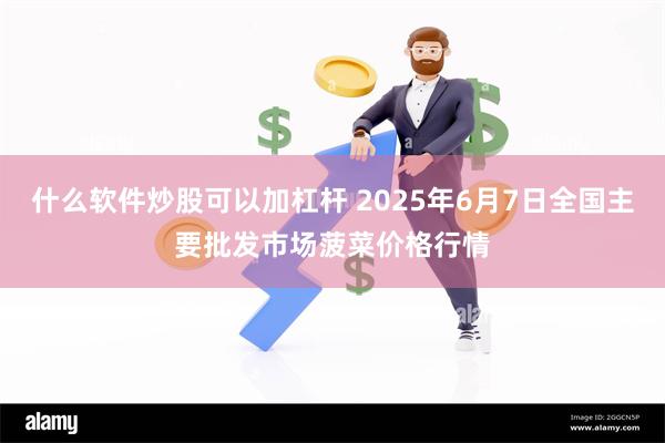 什么软件炒股可以加杠杆 2025年6月7日全国主要批发市场菠菜价格行情
